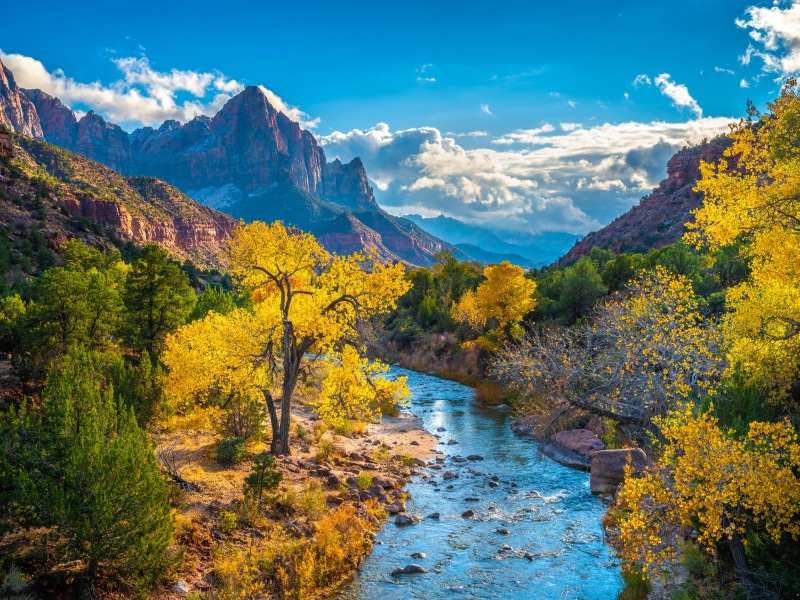 Zion National Park Autumn Scenery with Virgin River