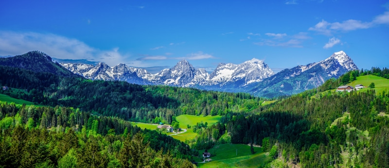 Panorama of Austrian Alps with Forests and Valleys