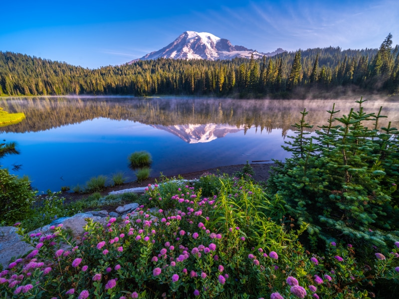 Mount Rainier National Park Lake Scenery with Flowers