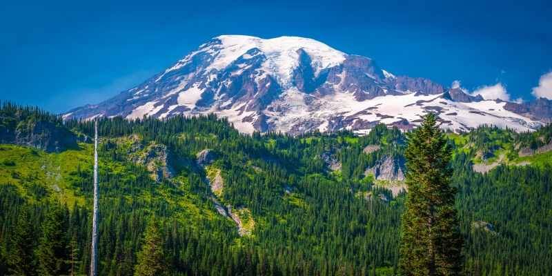 Mount Rainier National Park Washington USA