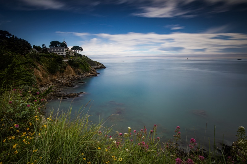Coastline in Bretagne, France with Sea and Flowers