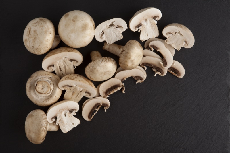 Mushrooms on a Gray Background