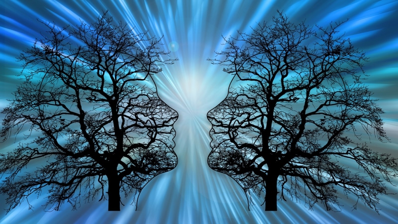 Two trees forming human profiles against blue light