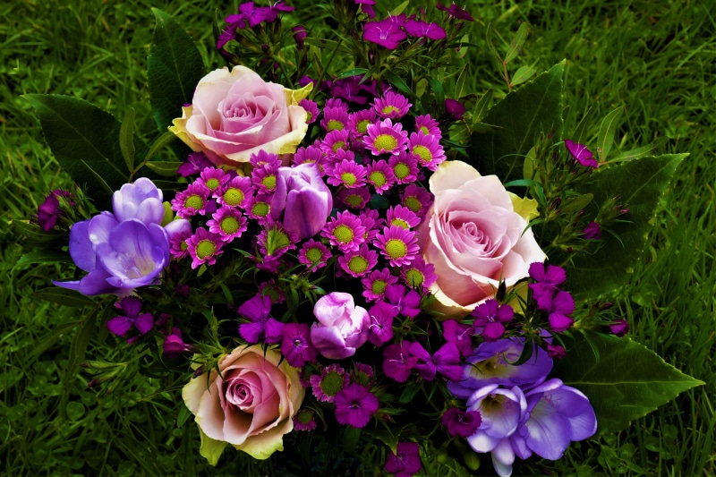 Bouquet of Roses, Crocuses, and Tulips on Grass