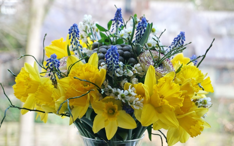Bouquet of Daffodils, Ranunculus, and Muscari Flowers