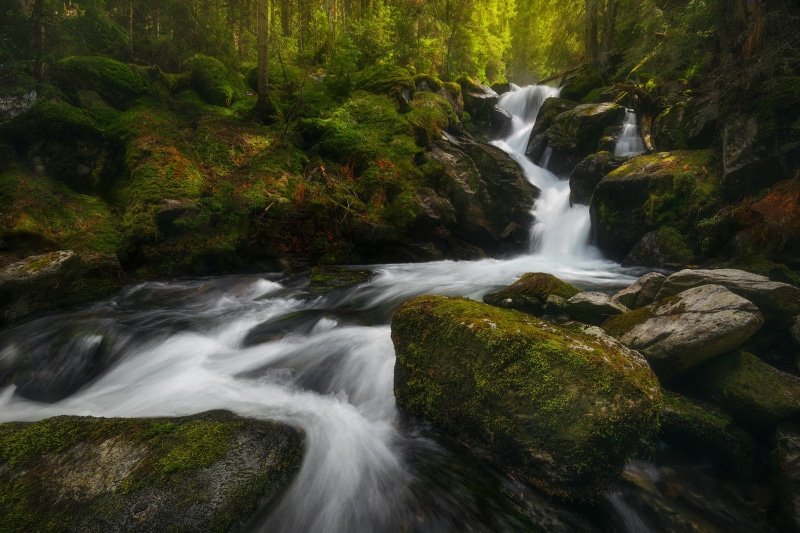 Mossy rocks and a waterfall in a forest