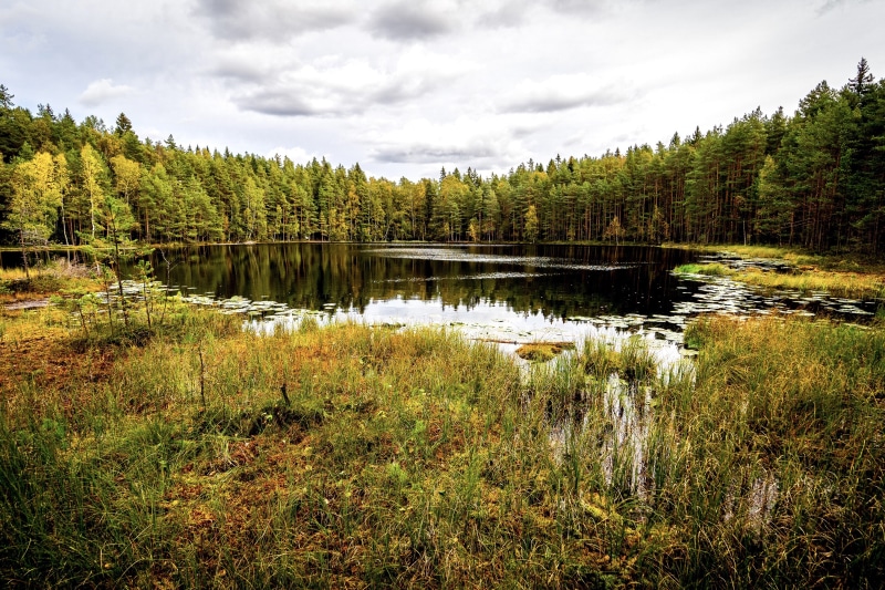 Lake and forest in Sipoonkorpi National Park, Finland during autumn