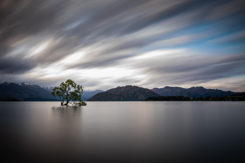 Lake Wanaka Tree, New Zealand