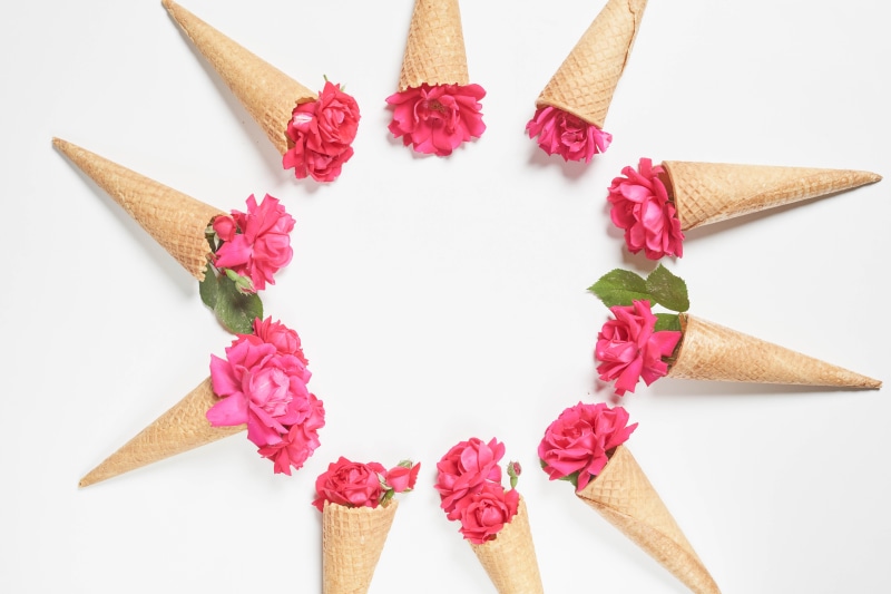 Pink Roses in Ice Cream Cones on White Background