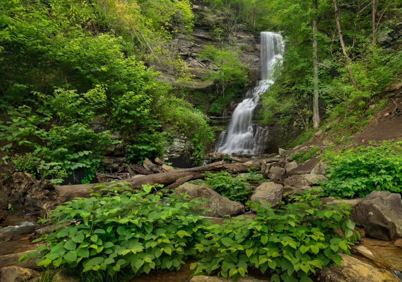 Waterfall in Blackwater Falls State Park, Virginia, USA