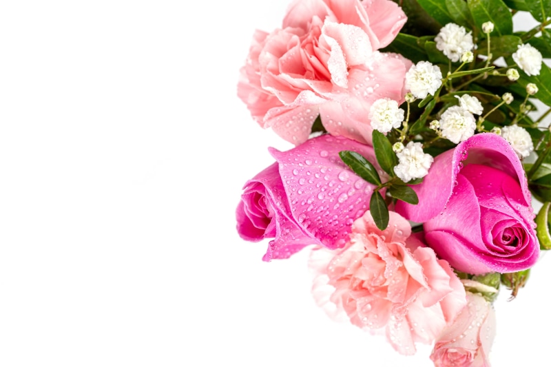 Pink roses and carnations with water drops