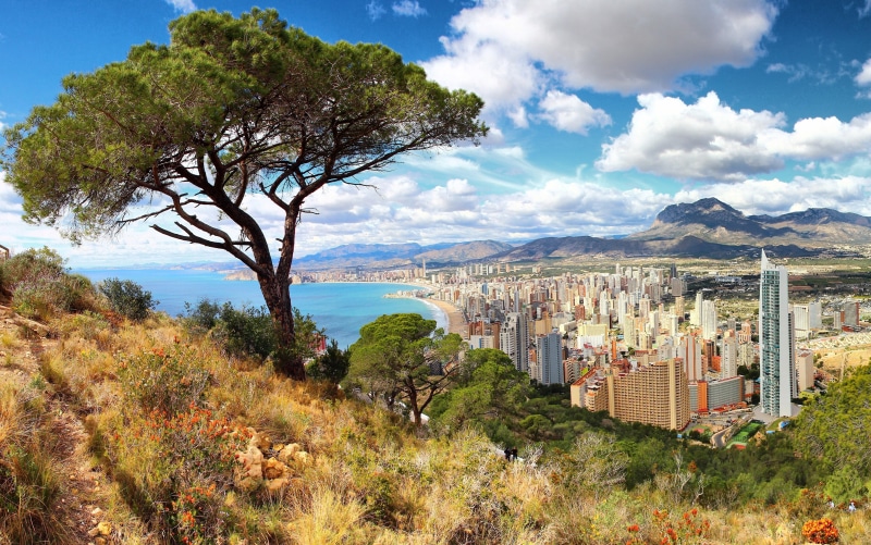 Benidorm cityscape and coastline from a hilltop with trees
