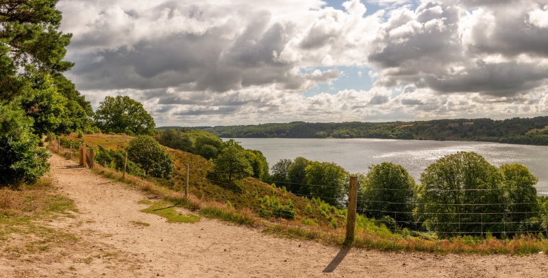 Dirt path overlooking a lake in Viborg, Denmark