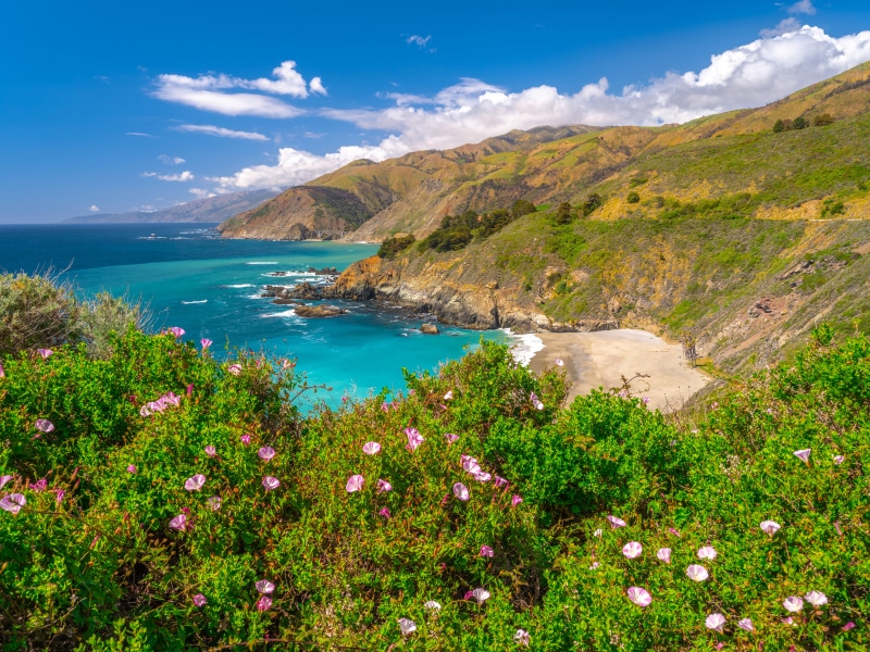 Big Sur Coastline, California
