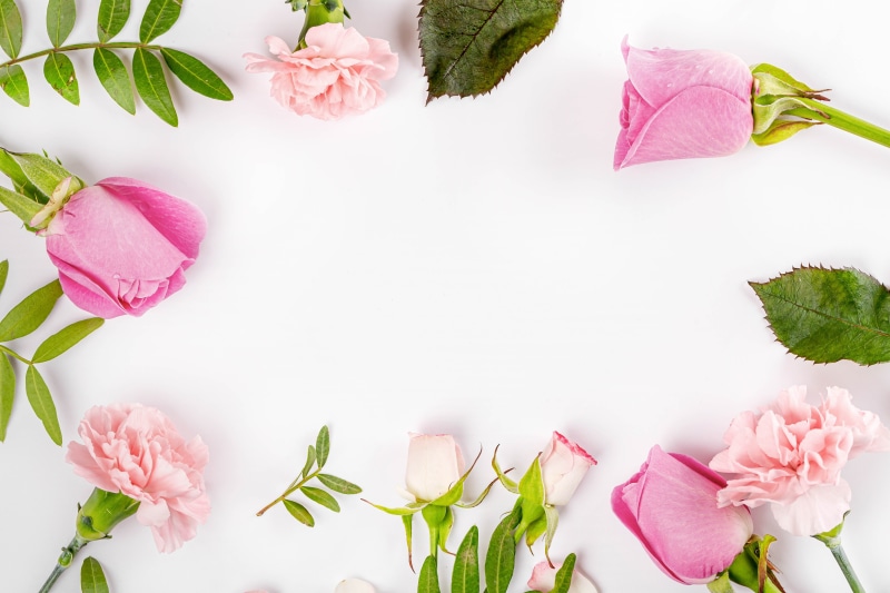Pink Roses and Carnations on White Background