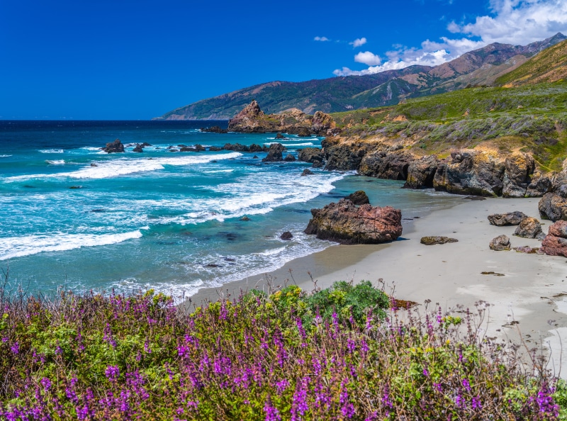 Big Sur Coastline with Purple Flowers and Mountains