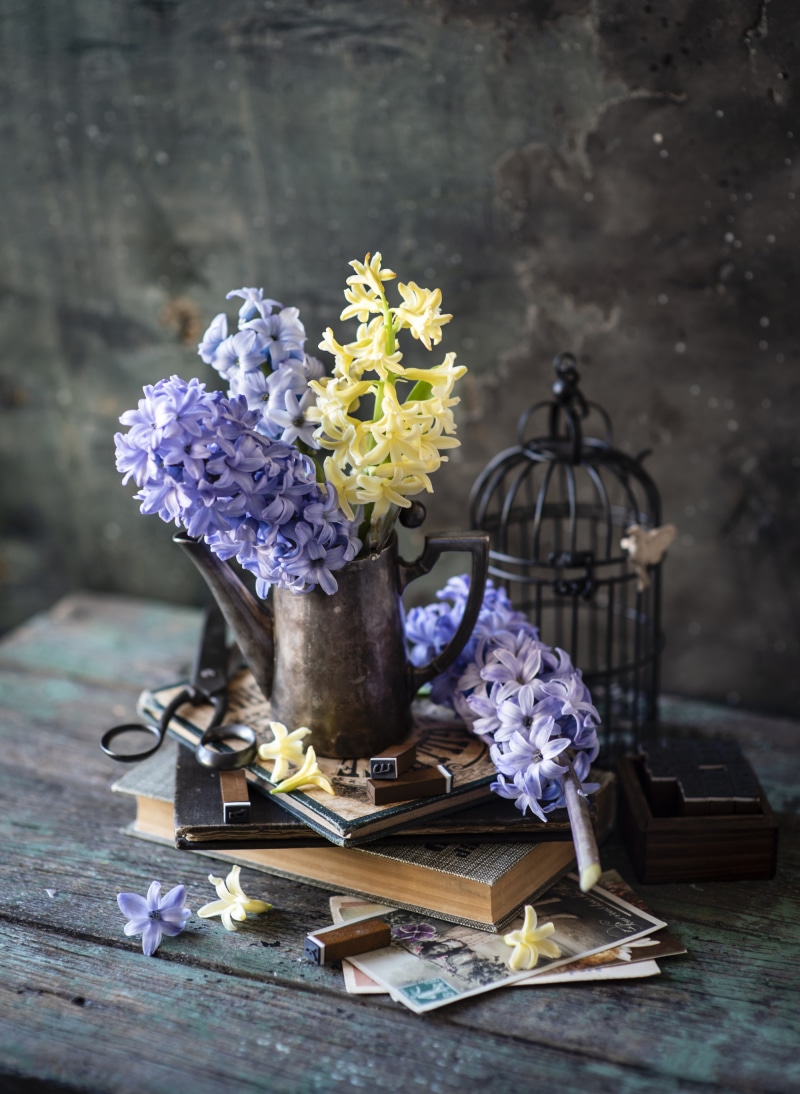 Hyacinths in a vintage vase on books