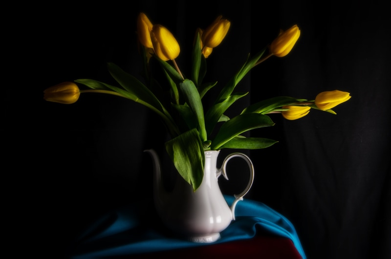 Yellow Tulips in a White Vase