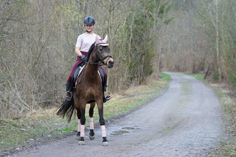 Girl riding a horse on a dirt road
