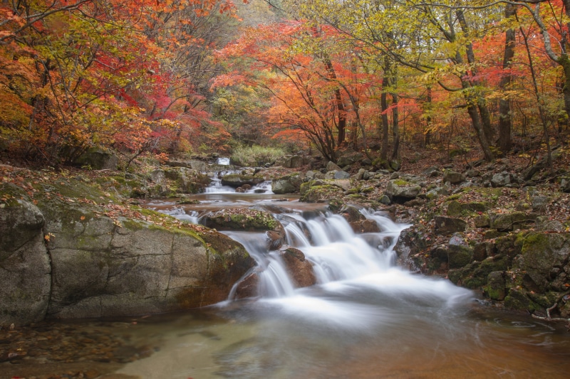 Autumn stream with colorful foliage and mossy stones