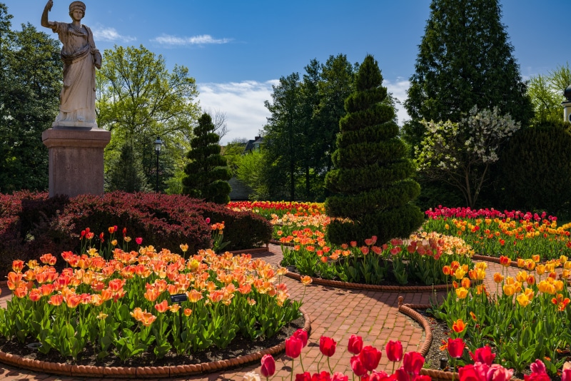 Victorian Garden with Tulips and Statue
