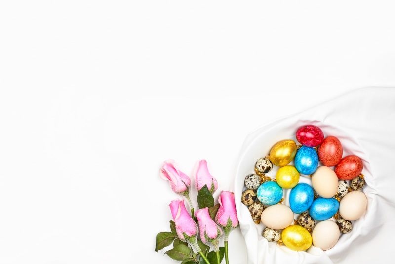 Easter Eggs and Pink Roses on White Background