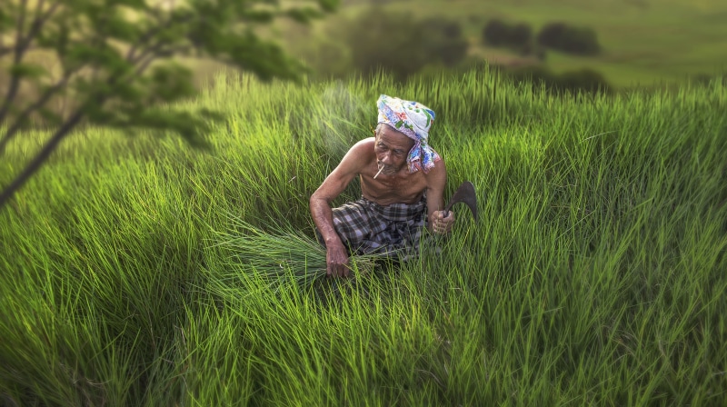 Old Asian man working in a field smoking
