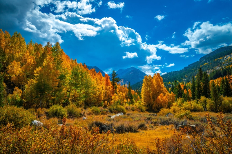 Autumn Mountains Scenery in California, USA