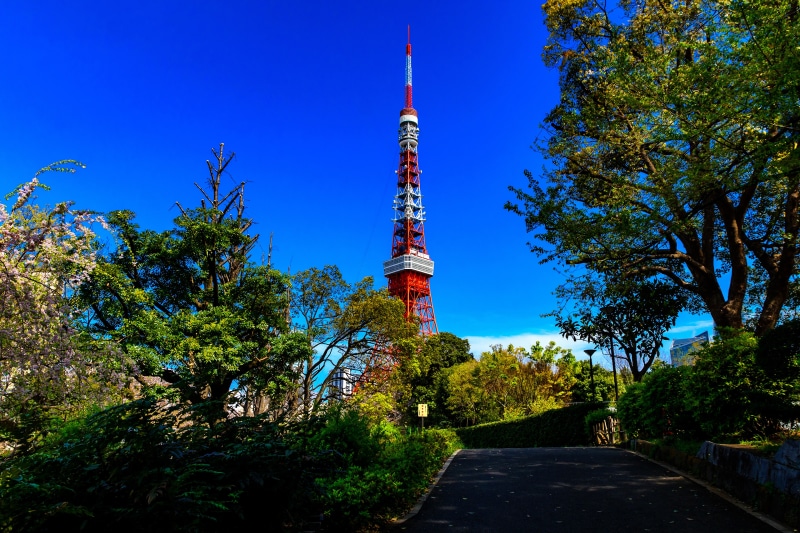 Tokyo Tower in Shiba Park, Japan