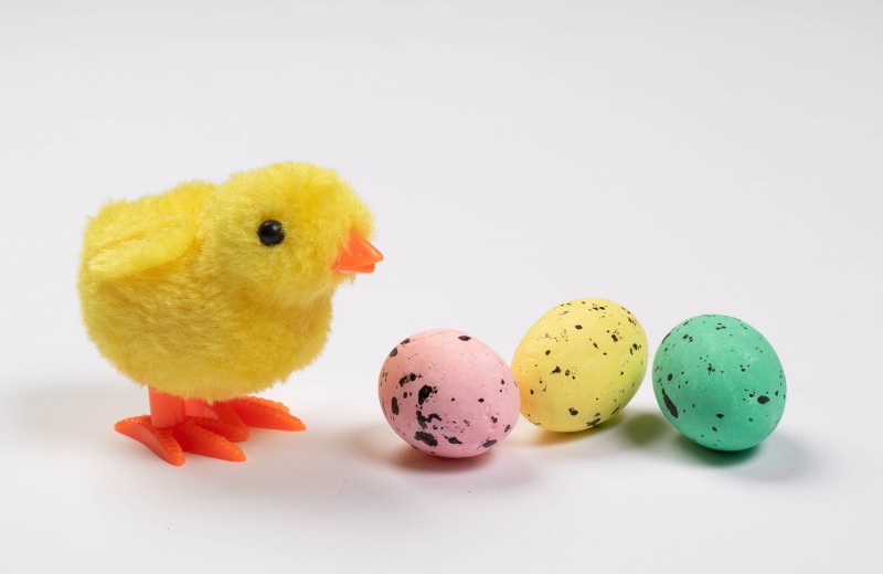 Easter chick with three speckled eggs