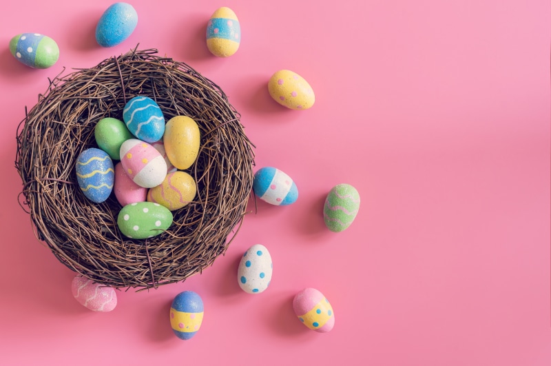 Easter Eggs in a Nest on Pink Background