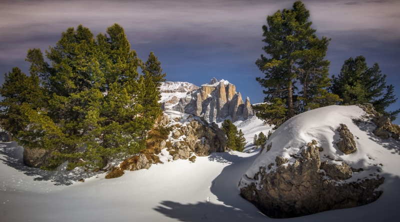 Winter mountain landscape with spruce trees in South Tyrol, Italy
