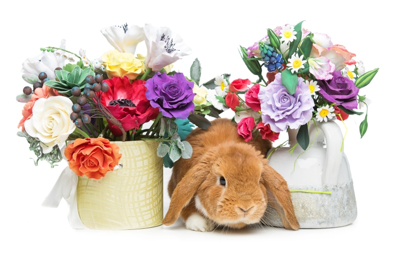 Easter Bunny with Flower Bouquets