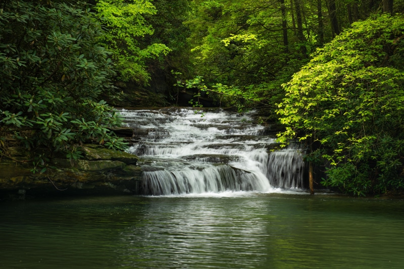 Waterfall in Blackwater Falls State Park, USA
