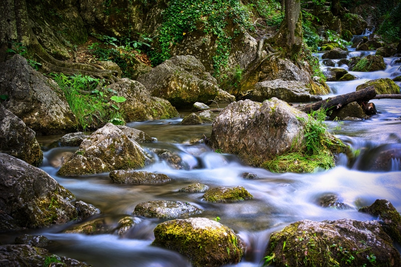 Stream flowing over mossy stones in Austria