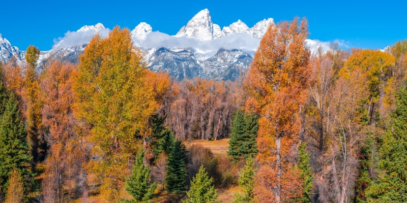 Grand Teton National Park Autumn Mountains