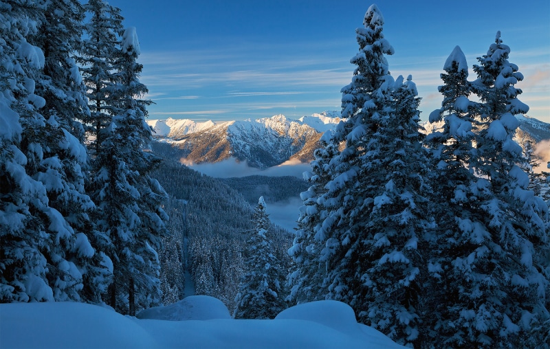 Snow-covered trees and mountains in Bavaria, Germany