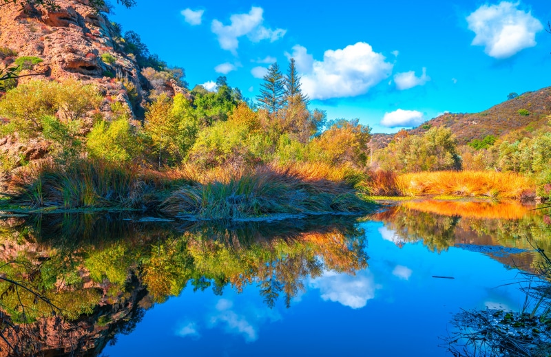Malibu Creek State Park Lake with Autumn Trees and Reflection