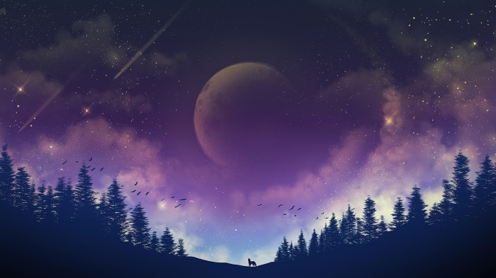 Night sky with moon, stars, and forest silhouette