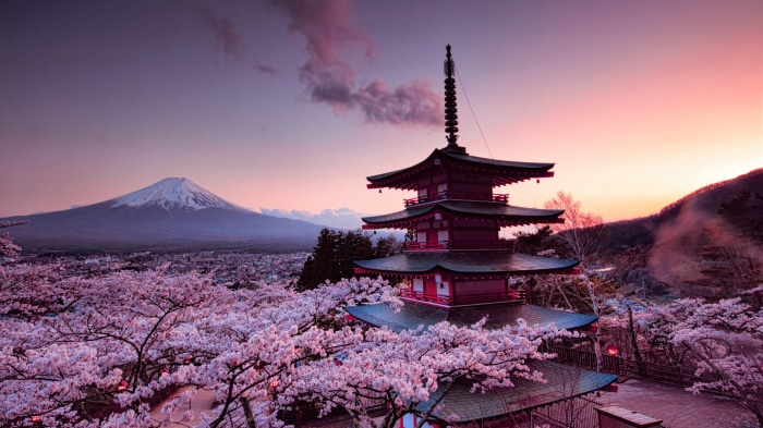 Pagoda and Mount Fuji with Cherry Blossoms 4K