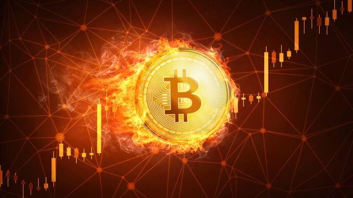 Bitcoin cryptocurrency on fire with stock charts