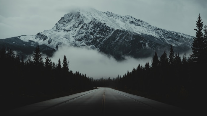 Road through forest to snow-capped mountain in fog 4K