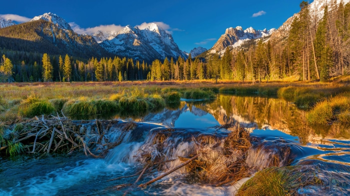 River flowing through a forest with mountains in Idaho, USA 4K