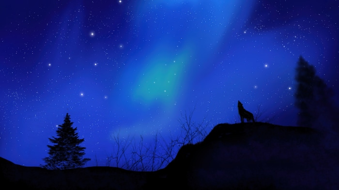 Wolf howling at the starry night sky with aurora