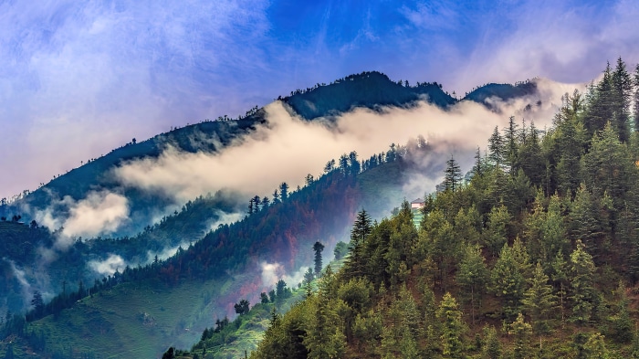 Mountain range with fog and forest in 4K