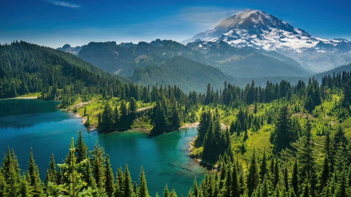 Lake and Forest with Snow-Capped Mountain