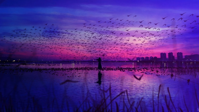 Flock of birds at sunset over water with city skyline