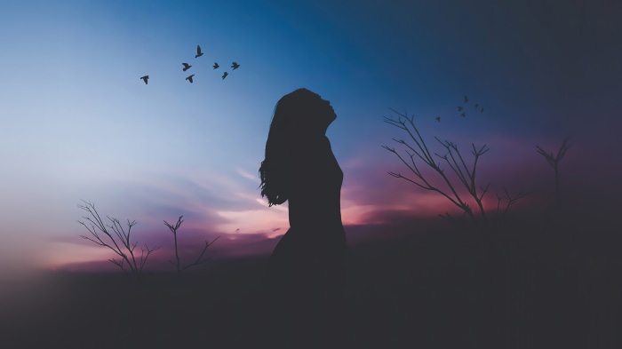 Silhouette of a girl against a twilight sky with birds