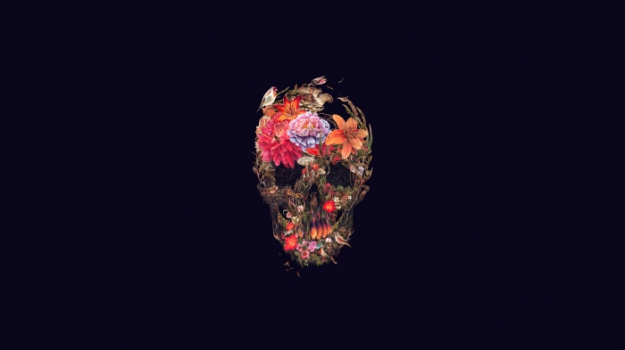 Skull with flowers and birds on dark background 4K