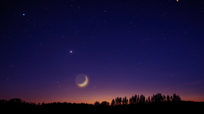 Night sky with crescent moon and stars over trees